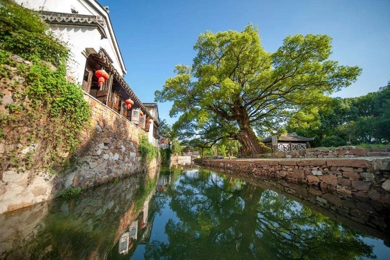 太湖農村生活污水治理